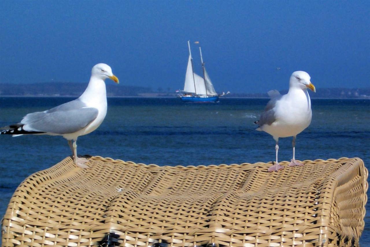 Ahoi Appartement Laboe Buitenkant foto